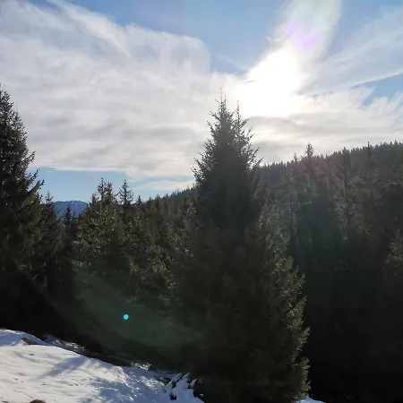 In Apartmán Trin